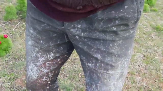 Ставропольский край. Шпаковский район.