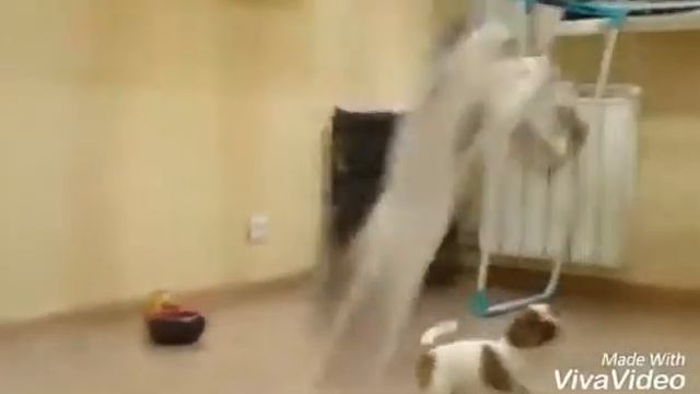 Детство Майло смотреть онлайн