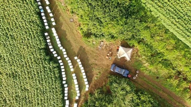 Вот такое прекрасное видео снял для нас Назар Нечепорук @aero_izyasПрекрасный вид и место для пасек смотреть онлайн