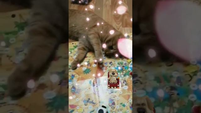 Буба играет в настольную игру смотреть онлайн