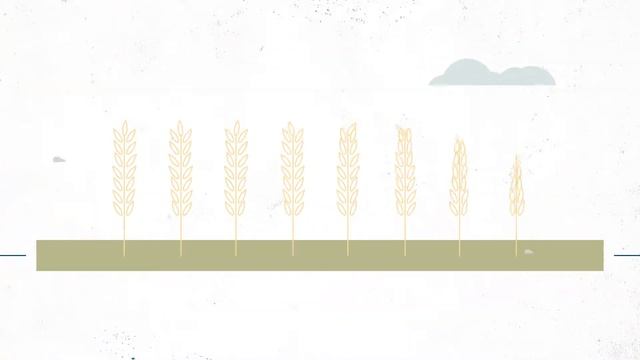 Egg Farm Environmental Responsibility