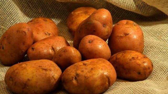 Картофель Растение. Сорта Для Посадки смотреть онлайн