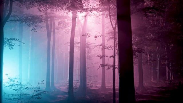 Float & Fall asleep in the forever forest | 1 Hour | 4K Ultra HD смотреть онлайн