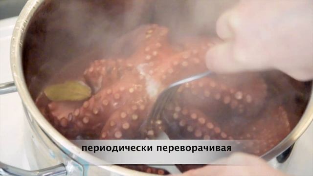 ГОТОВИМ ОСЬМИНОГА! / ОСЬМИНОГ ПО-ГРЕЧЕСКИ / НЕВЕРОЯТНО ВКУСНЫЙ И ПРОСТОЙ РЕЦЕПТ смотреть онлайн