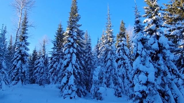 Туристические лыжи. Первый тест смотреть онлайн