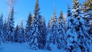 Туристические лыжи. Первый тест