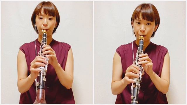 エスクラ吹き比べ！SELMER(79万)とPLAYTECH(1万5千)でデュオしてみた смотреть онлайн