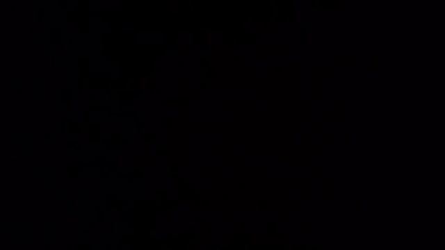 Поясы в Бразильский джиу-джитсу для детей и взрослых￼