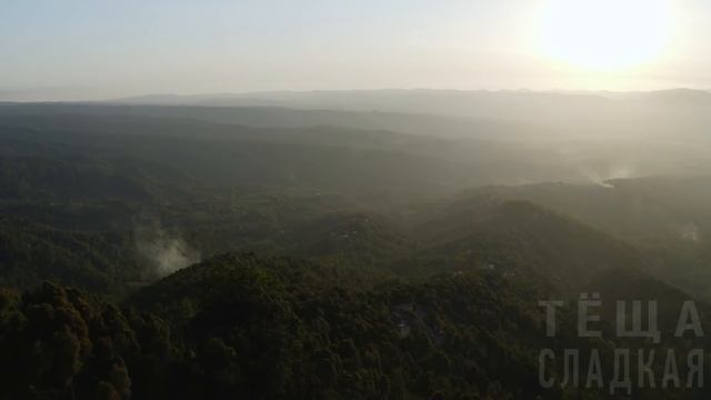 СОСЕД ПО ДАЧЕ ЗАВЁЛ С ПОЛ ОБОРОТА. Интересные истории из жизни. Рассказы о любви. Теща Сладкая смотреть онлайн