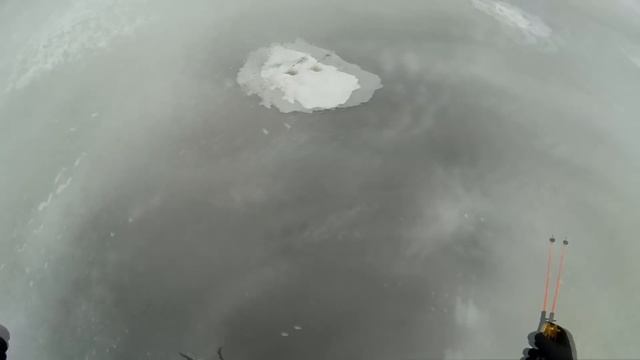 Ловля плотвы зимой. Крупная плотва. Плотва на мормышку. Трофейная плотва. Озеро Ильмень. 10.01.2017