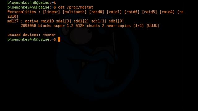 Redundant Array of Independent Disks (RAID) - creating, formatting, and disaster recovery смотреть онлайн