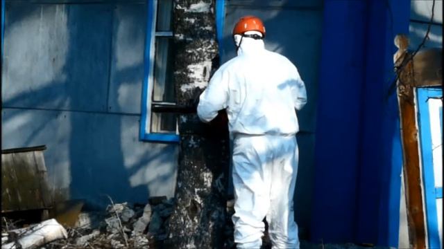 Сухая берёза... смотреть онлайн