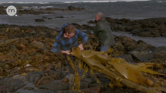 03 смотреть онлайн