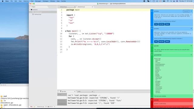 Golang 003: Setting up Atom for Golang and "Hello world!" смотреть онлайн