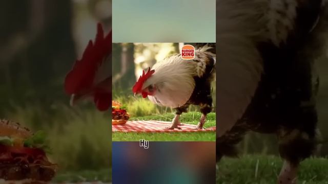 Как BURGER KING затроллил КОНКУРЕНТОВ смотреть онлайн