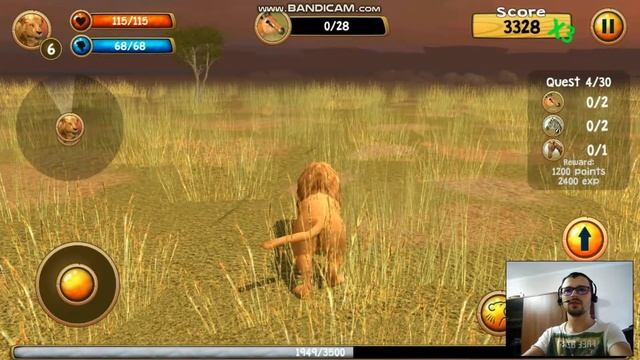 игра Wild Lion Simulator 3D Android Gameplay смотреть онлайн