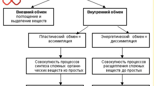 Биология как наука, её достижения, методы познания живой природы. смотреть онлайн