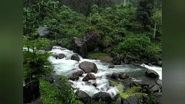 Travel Diary Rongo , Jalpaiguri смотреть онлайн