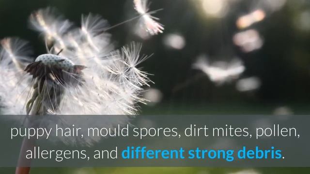 Best Air Purifier For Cat Allergies | Air Purifier With Activated Carbon Filter 2020