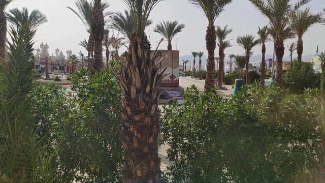 Дорога на пляж Palma Beach от отеля Sharminng Inn ,Шарм Эль Шейх. смотреть онлайн