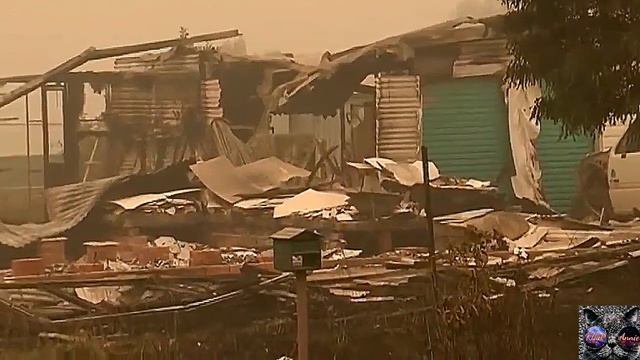 Могут ли восстановиться австралийские леса после пожаров? смотреть онлайн