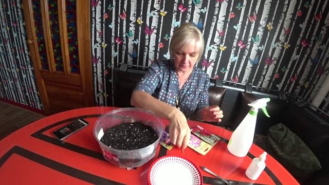 Как посеять эустому. смотреть онлайн