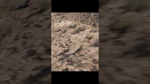 Конь СимбиотВеном3 Веном VenomMovie фильм кино смотреть онлайн