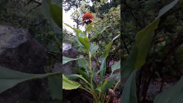 Благословенный вечер💖💕