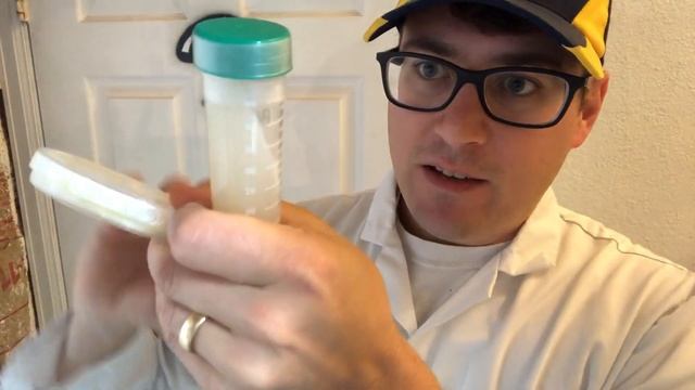 Slants vs Plates explained: mycology tips and tricks смотреть онлайн