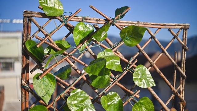 Vintage Industar 50mm f/3,5 (1959) lens For Zenit-E on Nikon Z5 [SAMPLE IMAGES] смотреть онлайн