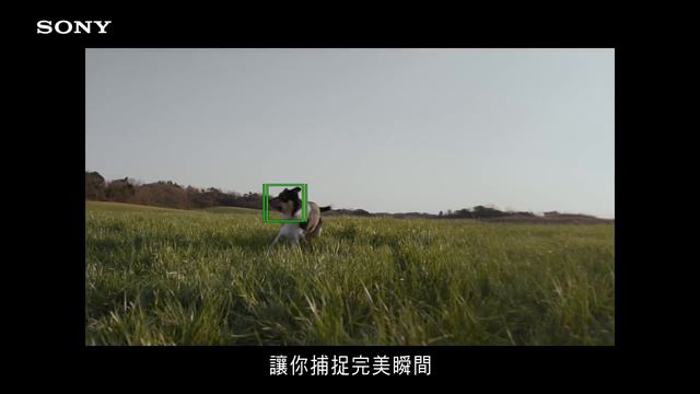 Sony Xperia 1 III - TV commercials∣ Extremely fast evolution, perfect snapshot смотреть онлайн
