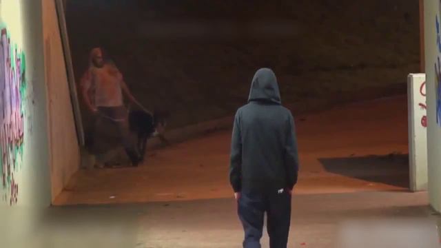 Зомби встают !! Реальность! смотреть онлайн