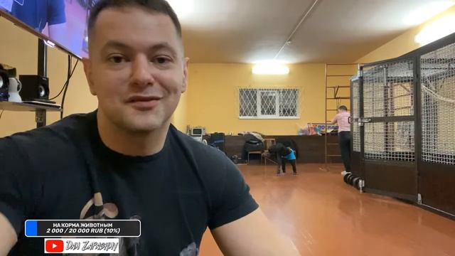 ?СТРИМ / Шимпанзе Боня и Дан Запашный отвечают на вопросы / Новости 02.03.2023 смотреть онлайн