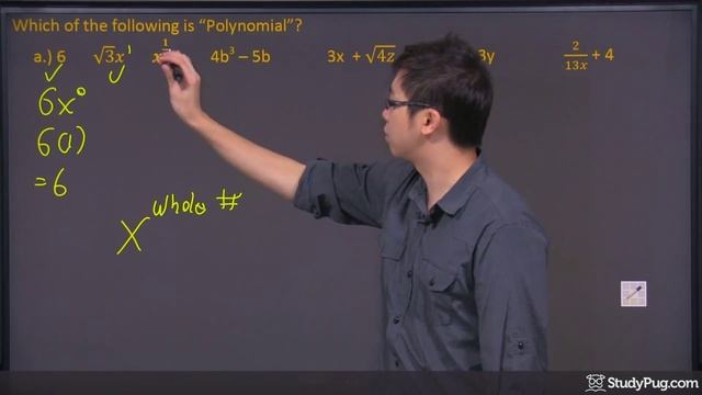 ʕ•ᴥ•ʔ What is a Polynomial Explained Properly.. Finally! смотреть онлайн