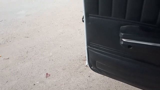Наш номер люкс в Коблево./У собаки клещ./Встреча с Малышом,Степа заболел./ смотреть онлайн