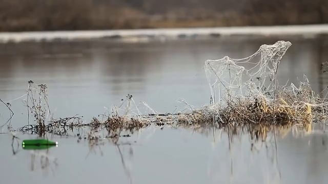 Стихи Сергея Есенина в исполнении Сергея Безрукова 720p смотреть онлайн