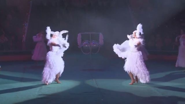 Культура. Новогодняя сказка была представлена под куполом цирка смотреть онлайн