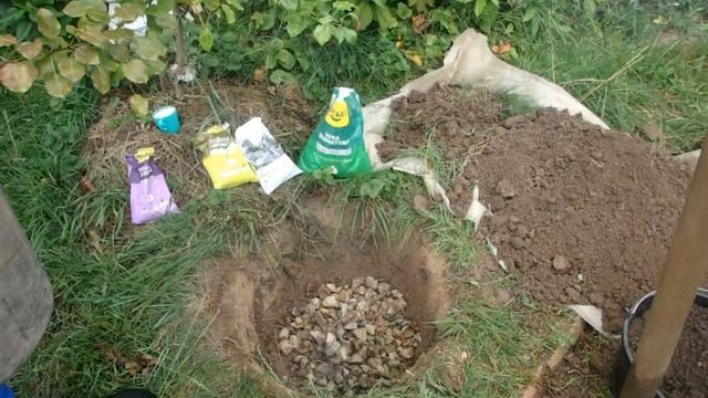 Начало осени самое время сажать растения с открытой корневой системой,а как подготовить ямы смотрит смотреть онлайн