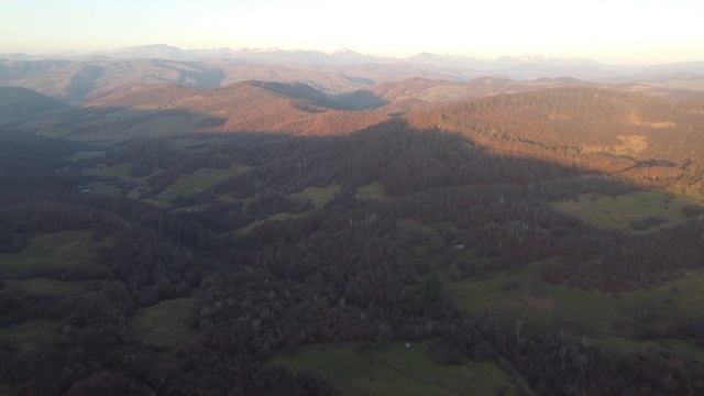 Дикая кошка принесла из леса на порог дома пропавшего зверька, шокировав всех вокруг смотреть онлайн