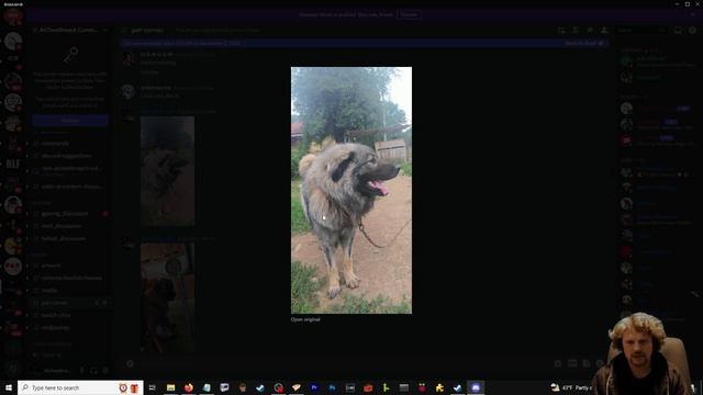 November 25, 2022 | Fallout 4 | Al ChestBreach Streams смотреть онлайн