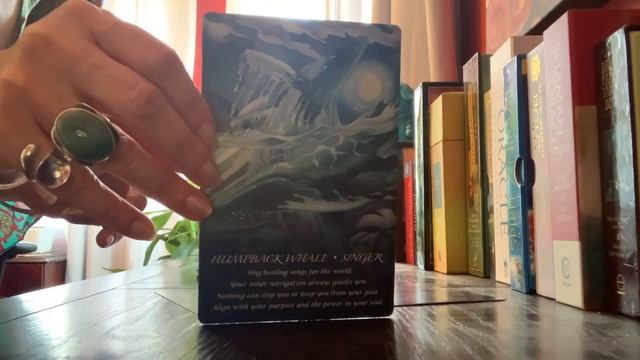 Today’s tarot is from my Spirit of the Animals Oracle deck ?? смотреть онлайн