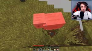 МАЙНКРАФТ НО МЫ НЕ ПЕРЕСТАЁМ ТОЛСТЕТЬ!