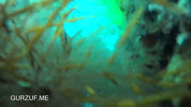 Погружение камеры под Гурзуфский причал : Крым : Гурзуф апрель 2018 смотреть онлайн