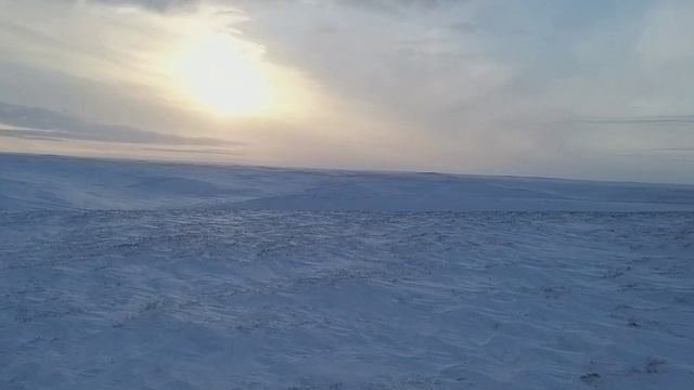 На Вездеходе Русак К 8 из Салехарда до Сеяхи и обратно 1400 км смотреть онлайн
