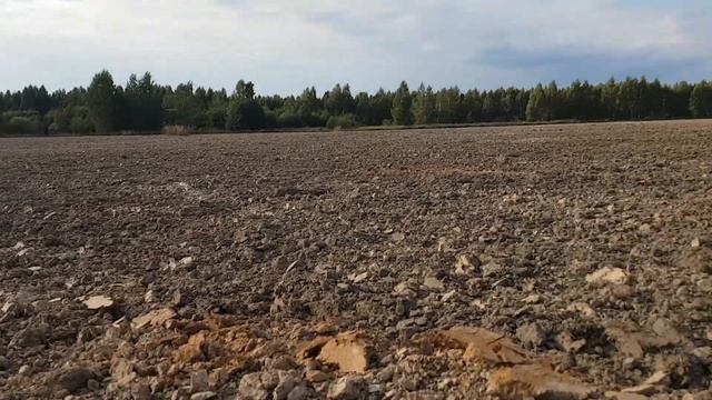 Новая пашня - новые находки! ГРИВЕННИК 1784 года! смотреть онлайн