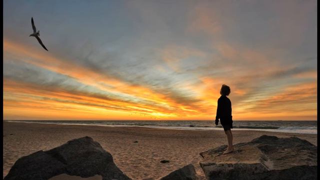 audiobooks Adventures of HUCKLEBERRY FINN#2 by Mark Twain смотреть онлайн