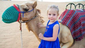 Влог: путешествие по пустыне, Сафари в Дубаи  / Safari in desert Dubai