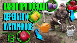 ПРАВИЛЬНАЯ ПОСАДКА ДЕРЕВЬЕВ И КУСТАРНИКОВ ОТ А ДО Я ( ЯБЛОНЯ, ВИШНЯ) ЭКОСАД (ОГОРОД) И ТЕПЛИЦА 22-15