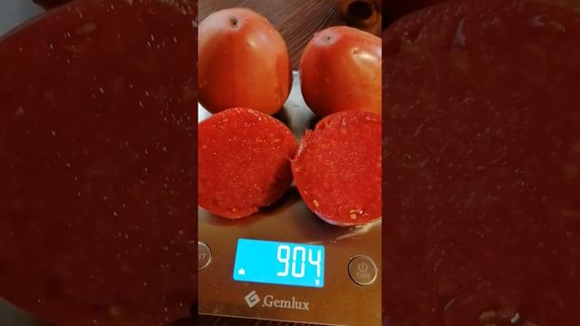 Сорт Томата ГОВЯДИНА С КУСТА //КАТАЛОГ ДЛЯ ЗАКАЗА 89152458159 ПИСЬМЕННО смотреть онлайн