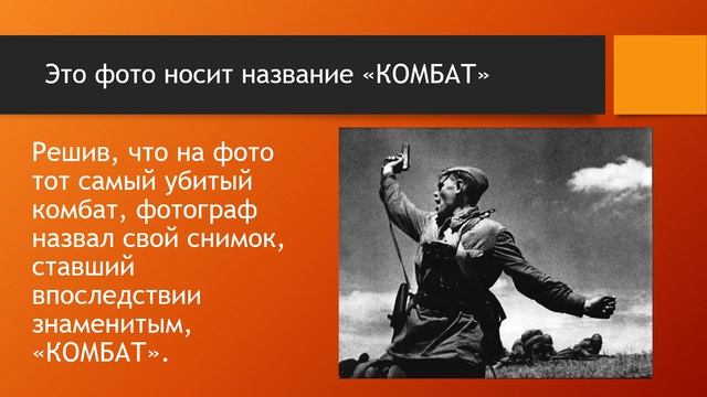 Белые журавли|Фотография "Комбат"|7А класс смотреть онлайн